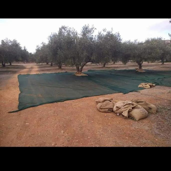 Olive Grove Cottage Skalani Knosos Ngoại thất bức ảnh