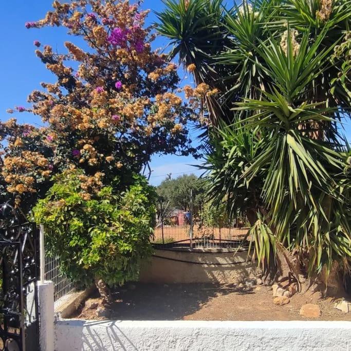 Olive Grove Cottage Skalani Knosos Ngoại thất bức ảnh