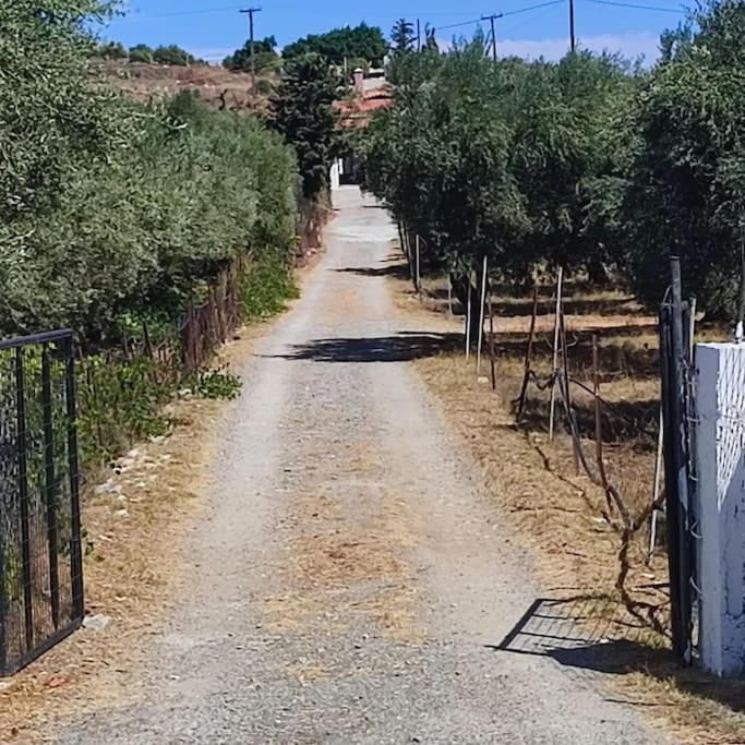 Olive Grove Cottage Skalani Knosos Ngoại thất bức ảnh
