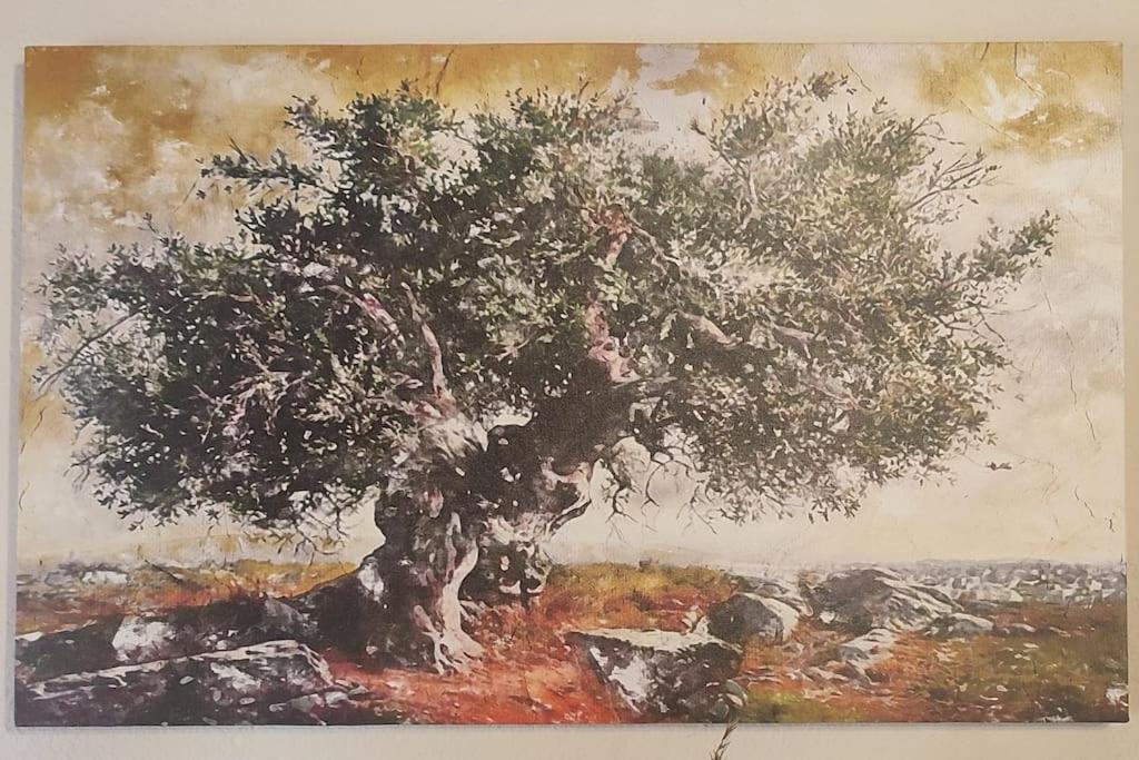 Olive Grove Cottage Skalani Knosos Ngoại thất bức ảnh