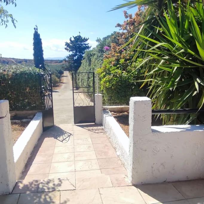 Olive Grove Cottage Skalani Knosos Ngoại thất bức ảnh