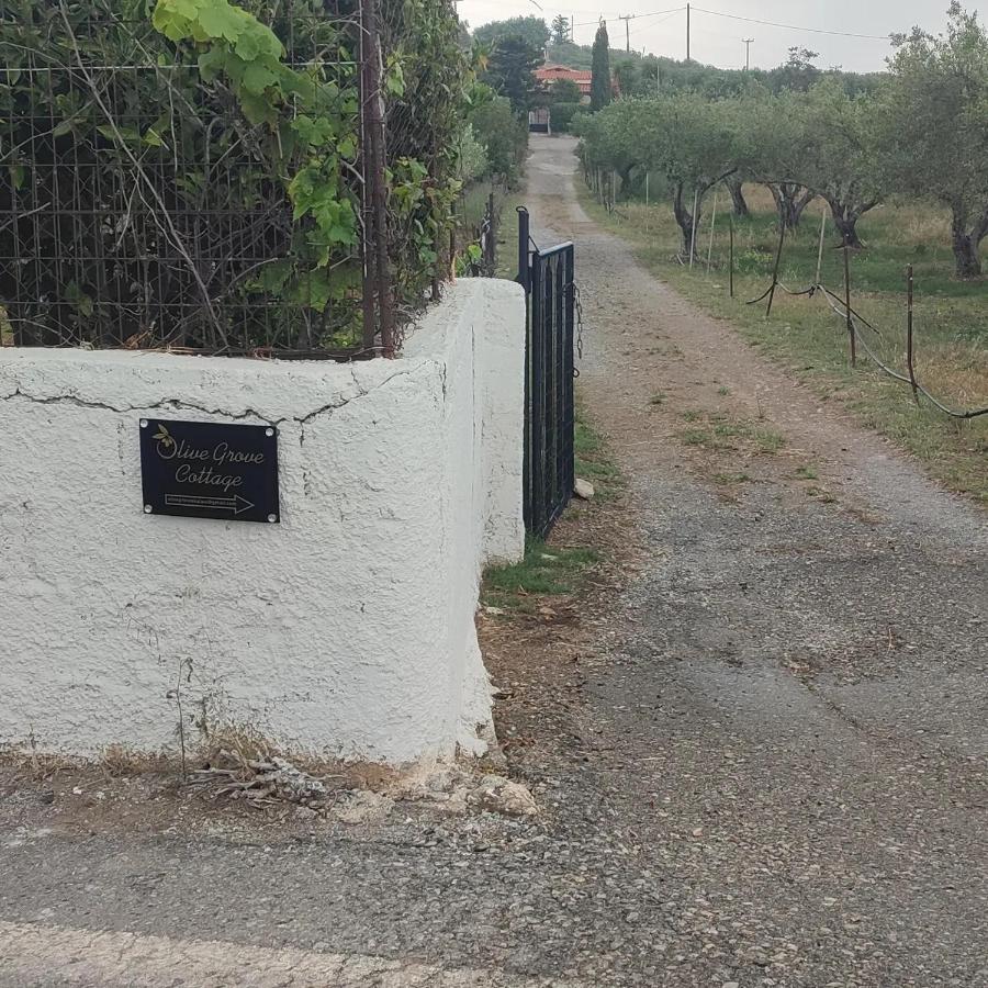 Olive Grove Cottage Skalani Knosos Ngoại thất bức ảnh