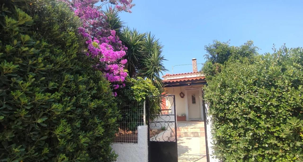 Olive Grove Cottage Skalani Knosos Ngoại thất bức ảnh