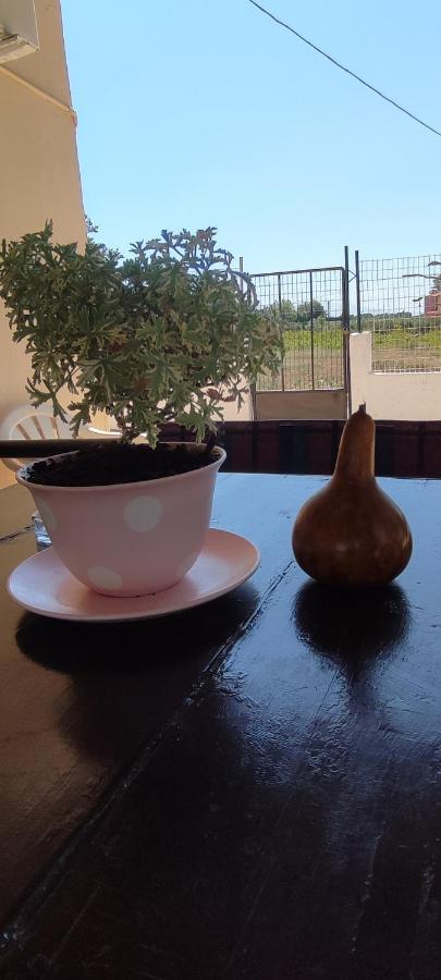 Olive Grove Cottage Skalani Knosos Ngoại thất bức ảnh